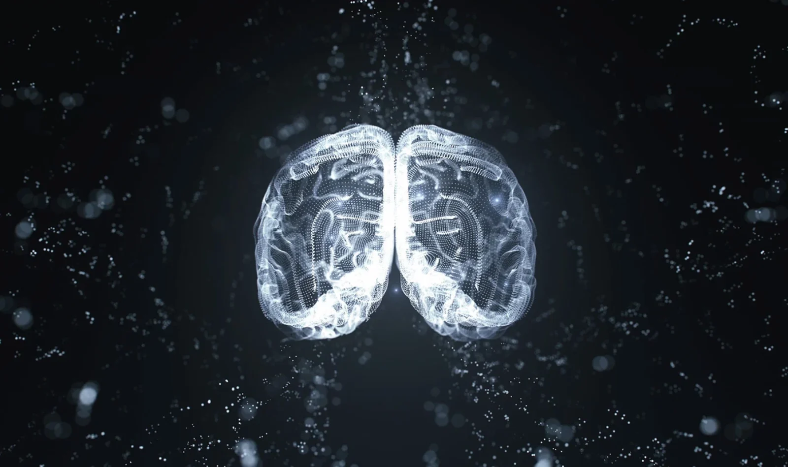 AI-Data-Vibes-In-Modern-Web-Design